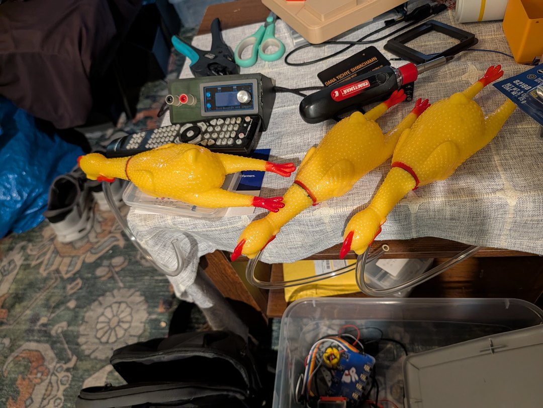 Three rubber chickens standing by for the Challenge